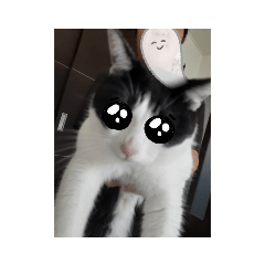 nanami_20210708152041