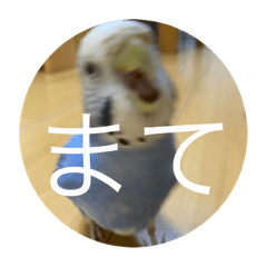 Emily_20210708195602