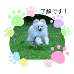 chie_20210708210717