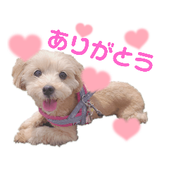 rina_20210709070852