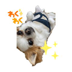 suzu_20210709093857