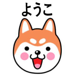 Yoko name sticker(Shiba Inu)