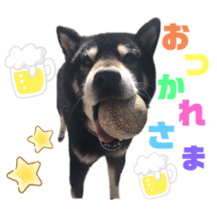 sayuri_20210708215947