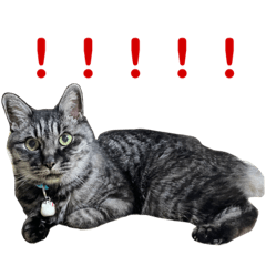 Satoshi_20210708232728