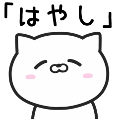 Cat For HAYASHI Daily Use