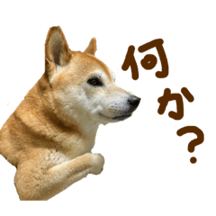 momoko_20210708195546