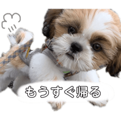 yuka_20210708195247