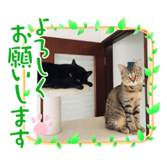 aoi_20210709124801