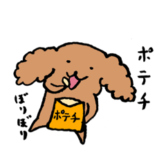 Life of Toy Poodle