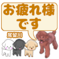 Otomekawa's. letters toy poodle