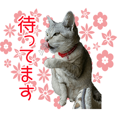 SANCHE and CHOCO Sticker2