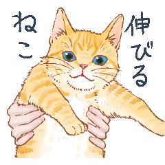 伸びるネコ Line スタンプ Line Store 伸びるネコ Line スタンプ Line Store