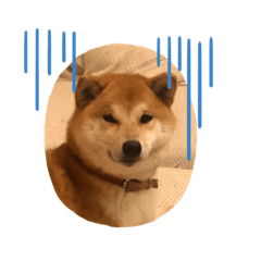 tori_20210709154220