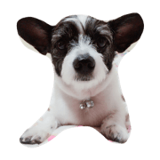 TOTO0922