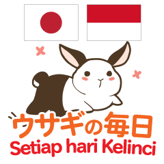 Everyday of Rabbit Indonesian&Japanese
