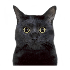 黒猫（くうねるちゃん）スタンプ