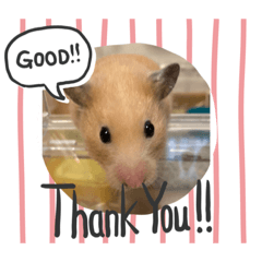 yukari_20210709132357