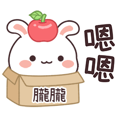 嬌嬌兔姓名貼_朧朧專用
