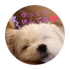 Yun_20210709003359