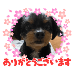 aoi_20210709123159