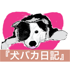 Border Collie dog sticker