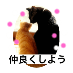 MIKI_20210709201020