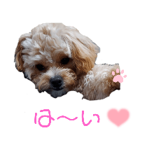 yuka_20210709230444