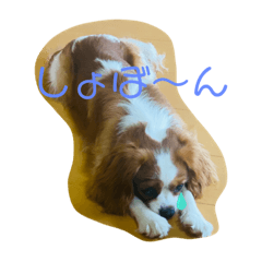 seira_20210710100350