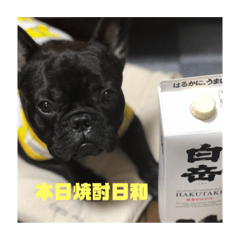 miko_20210710112838