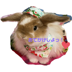 teruki_20210709183221