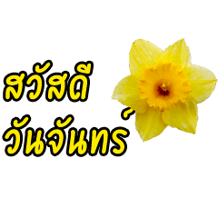 color of the day greeting (thai)