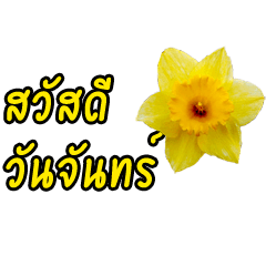 color of the day greeting (thai)