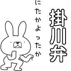 BIG Dialect rabbit[kakegawa]
