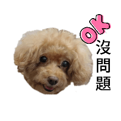 妮妮的奇幻世界