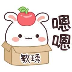 嬌嬌兔姓名貼_敏琇專用