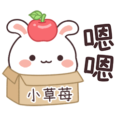 嬌嬌兔姓名貼_小草苺專用