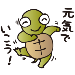 Turtle happiness