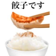 Japanese Food / Gyoza 13