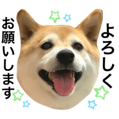 momoko_20210710055553