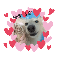 我家狗狗叫嘟嘟
