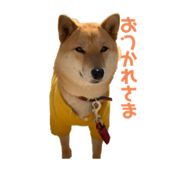 hana_20210710122130