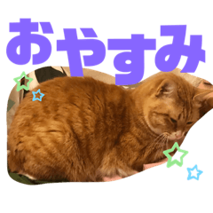 aoi_20210710123808