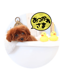 YUKA_20210710144359