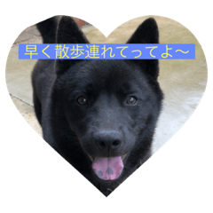 satoshi_20210710145509