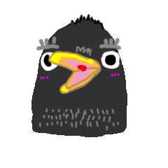 Starling : Niu-Niu