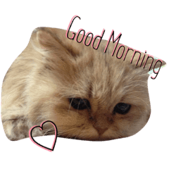 Milk And Mon Line Stickers Line Store