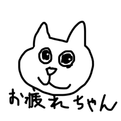 majide cat