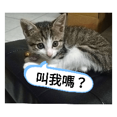 Ruby_20210710110301 - Stiker LINE | LINE STORE