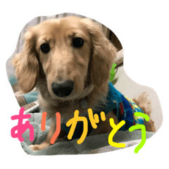 komugikunn