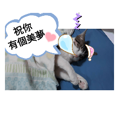 Ruby_20210710142935 - Stiker LINE | LINE STORE